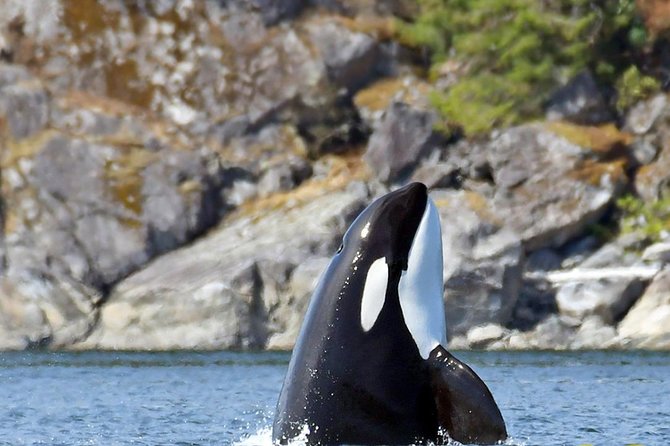 7 Hour Big Canadian Animal Encounter